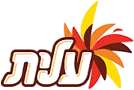 עלית