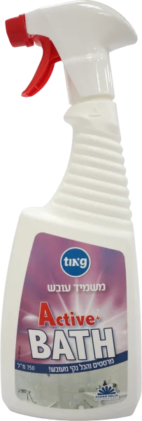 ספריי מסיר עובש 750 מ”ל VISH