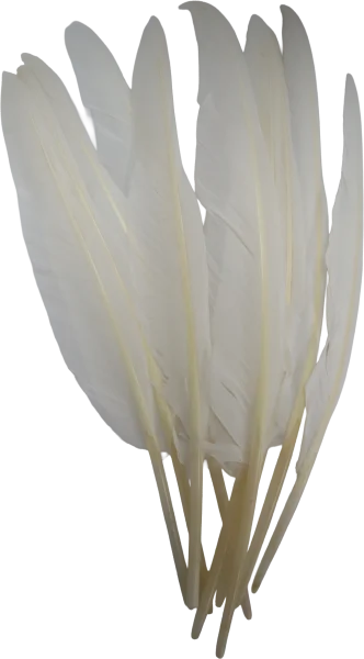 נוצות יען 21 ס"מ 5 יחידות